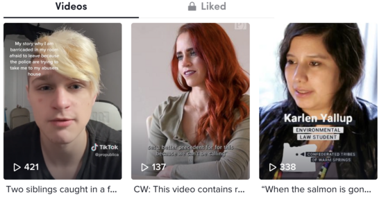 Screenshot of the ProPublica TikTok page, showing three recently uploaded videos to the page.