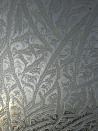 Swirly patterns of ice on a window. It looks like leaves and branches but is naturally formed ice crystals