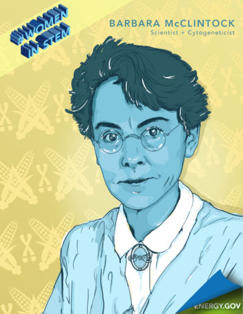 In this blue and yellow graphic art portrait of Barbara McClintock, she's wearing grannie glasses and facing the camera with a slight smile.  Her short, dark curly hair and light blue jacket stand out against a yellow background of crossed ears of corn and images of an X chromosome that repeat the same shape.