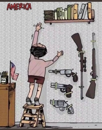 Editorial cartoon.

In a room with an American flag on a desk next to pencil cup labelled USA, a child stands on a step stool stretching to reach a shelf of books that is placed way up high on the wall, out of the child's reach. 

On the wall below the shelf, and within easy reach of the child, are a variety of guns.