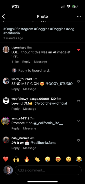 Screenshot of an Instagram post with multiple spam accounts commenting with scams