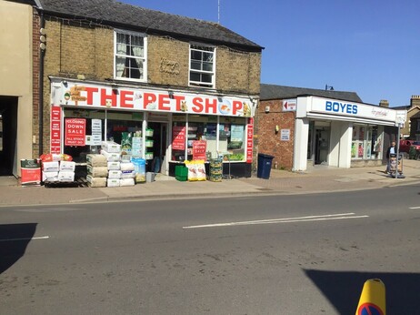 Adjacent ‘Pet Shop’ and ‘Boyes’ shop signs in March, Cambridgeshire