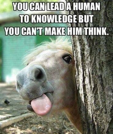 A horse poking tongues from around a tree. 

YOU CAN LEAD A HUMAN TO KNOWLEDGE BUT YOU CANT MAKE HiM THINK.