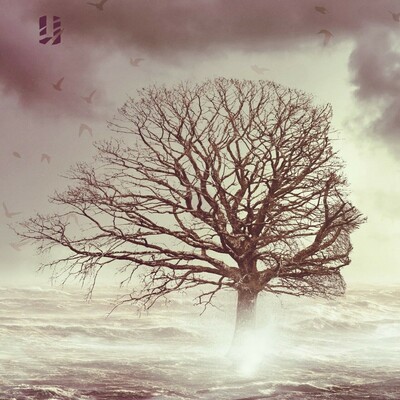 The cover of DARK RIVER by Rym Kechacha