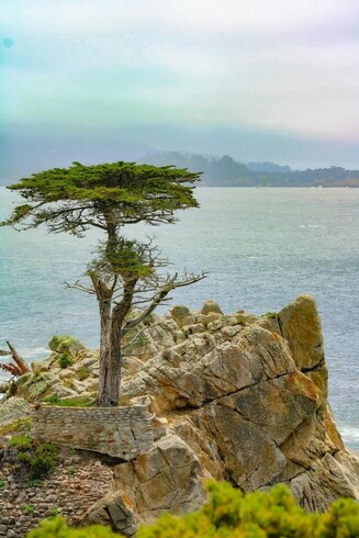 Coast