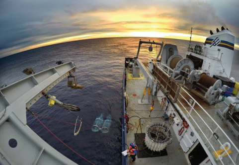 CalCOFI survey photo