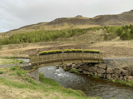 Bridge lined with flowers