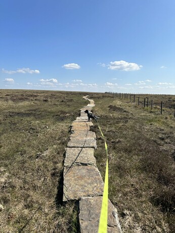 A path made of stone flags laid on top of high moorland beneath a blue sky with little white clouds