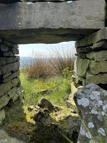 A stone archway on moorland with hills visible in the distance behind a patch of long grass