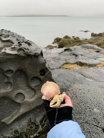 Two gathered shells near giant erosion rock