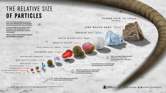 Image showing relative sizes of particles from human hair to grains of pollen down to the size of viruses. Image from: http://visualcapitalist.com