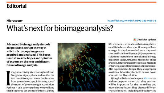 Screenshot of the editorial article introducing all opinion pieces.