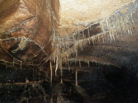 Ceiling of Coldwater cave with little stalactites and soda straw features indicating cracks in the rock.