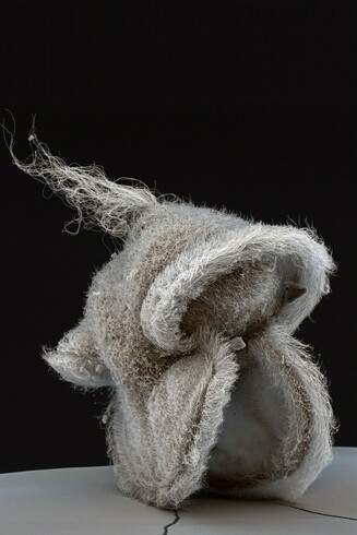 A scanning electron microscopy image of a ciliated nemertean pilidium larva