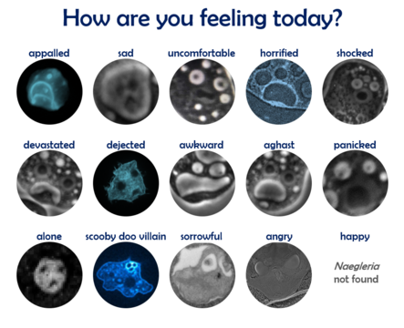 "How are you feeling today?" is written at the top, with an array of amoebae below that have vacuoles and/or nuclei in orientations resembling faces. None of them are happy looking. Emotions they have captured include: appalled, sad, uncomfortable, horrified, shocked, devastated, dejected, awkward, aghast, panicked, alone, scooby doo villain (this cell looks like a creature running with a mask and cloak), sorrowful, and angry.