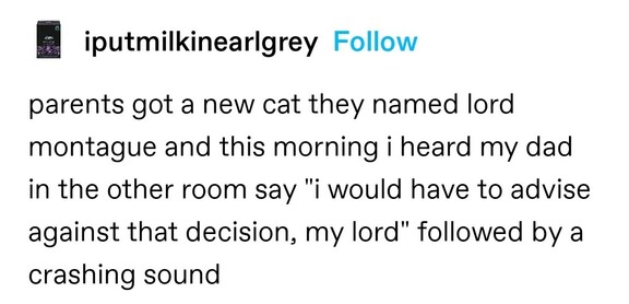 parents got a new cat they named lord montague and this morning i heard my dad in the other room say "i would have to advise against that decision, my lord" followed by a crashing sound