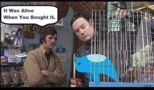 A photo from the Monty Python "Dead Parrot" sketch with the pet shop owner and Elon Musk looking at a dead Twitter bird, The pet shop owner tells Elon Musk "It was alive when you bought it".