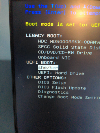 my dell's boot picker with "she/her" set as the boot option