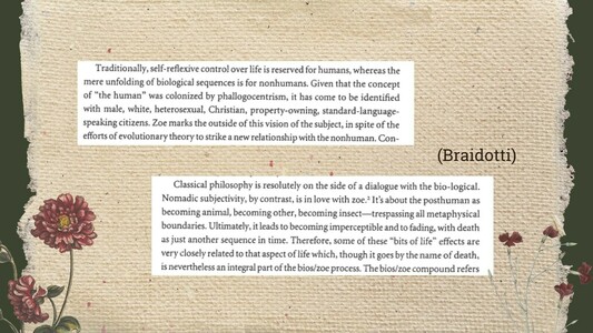 Traditionally, self-reflexive control over life is reserved for humans, whereas the mere unfolding of biological sequences is for nonhumans. Given that the concept of “the human” was colonized by phallogocentrism, it has come to be identified with male, white, heterosexual, Christian, property-owning, standard-language-speaking citizens. Zoe marks the outside of this vision of the subject, in spite of the efforts of evolutionary theory to strike a new relationship with the nonhuman.

Classical philosophy is resolutely on the side of a dialogue with the bio-logical. Nomadic subjectivity, by contrast, is in love with zoe. It's about the posthuman as becoming animal, becoming other, becoming insect—trespassing all metaphysical boundaries. Ultimately, it leads to becoming imperceptible and to fading, with death as just another sequence in time. Therefore, some of these “bits of life” effects are very closely related to that aspect of life which, though it goes by the name of death, is nevertheless an integral part of the bios/zoe process.