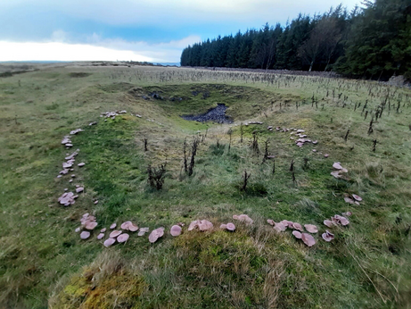 A large ring of flat-topped pinky-brown mushrooms growing among grass on rough moorland. The fairy ring looks like a carefully draped giant fungal necklace and is almost a perfect complete circle.