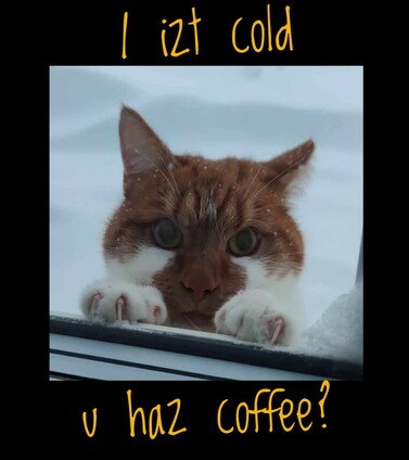 I izt cold, u haz coffee?
