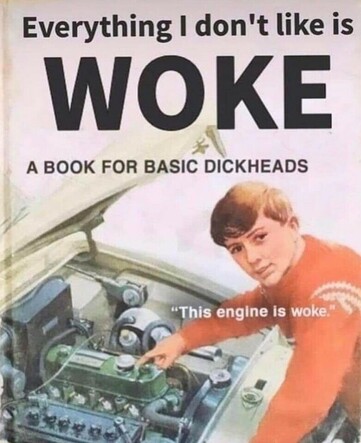 Everything I don't like is woke