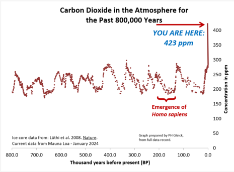 Graph of carbon dioxide in the atmophere for the past 800,000 years, showing it never exceeded around 280 parts per million until human emissions began, and is currently at 423 ppm. Homo sapiens didn't even evolve until around 200-300,000 years ago. Data is from ice cores (Luthi et al. 2008 in Nature) and current Mauna Loa atmospheric readings as of January 11, 2024.