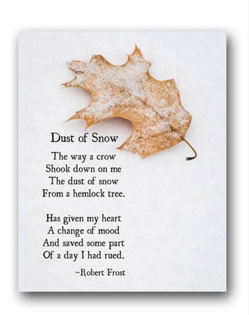 Image of Dust of Snow
poem by Robert Frost with snow dusted oak leaf

" The way a crow

Shook down on me

The dust of snow

From a hemlock tree


Has given my heart

A change of mood

And saved some part

Of a day I had rued."