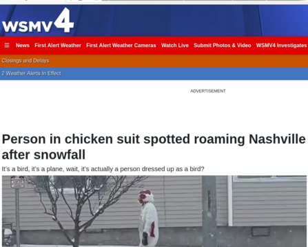 Headline: Person in chicken suit spotted roaming Nashville after snowfall - image shows someone walking around the snow in a giant chicken suit. White "chicken" with red highlights, thought it really looks like a skinny person wearing a chicken suit. You can see a house with siding in the background, and snow on bare trees, and a telephone pole also in the scene.