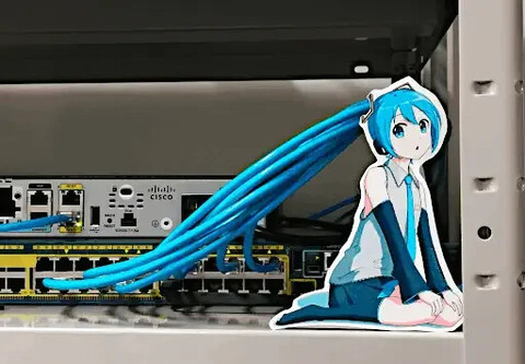 A shelf containing network equipment, with light blue ethernet cables coming out of the switch, and going to be covered by a cutout of Hatsune Miku, appearing as her long ponytails.