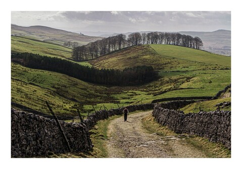 A walker descending on a wide path with dry stone walls on either side, rolling green hills in the background, topped by a line of trees.