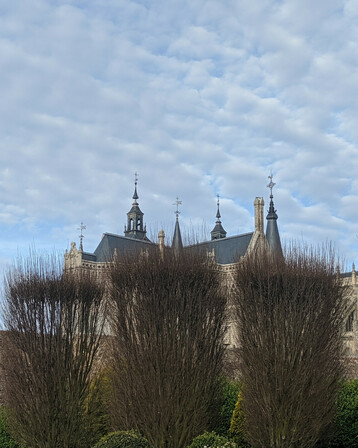 En primer plano las ramas de unos árboles. Estas están tapando el palacio episcopal obra de Antonio Gaudí. Al fondo las torres de la catedral
In the foreground the branches of some trees. These are covering the episcopal palace designed by Antonio Gaudí. In the background the towers of the cathedral