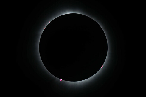 Photo of solar corona with prominences in red.