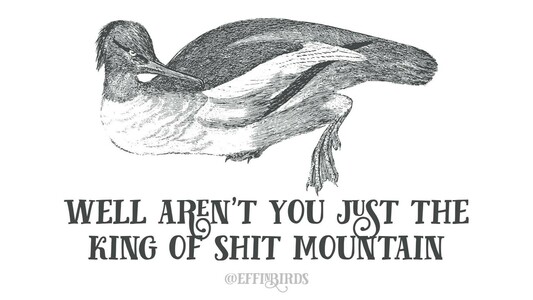 A woodcut of a bird beside the text "well aren't you just the king of shit mountain"