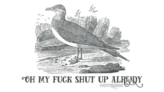 A woodcut of a gull above the text "oh my fuck shut up already"
