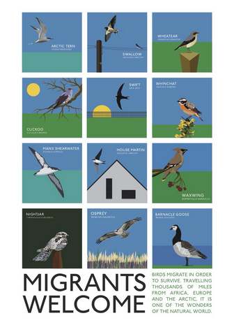 Poster depicting 12 migratory birds to the UK with the legend : Migrants Welcome
