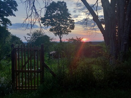 Gate with trees and sunset in the valley, sunray reaching into the scenery