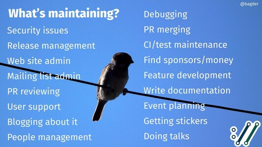 Security issues
Release management
Web site admin
Mailing list admin
PR reviewing
User support
Blogging about it
People management
Debugging
PR merging
CI/test maintenance
Find sponsors/money
Feature development
Write documentation
Event planning
Getting stickers
Doing talks