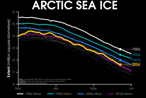 Line graph time series of 2024's daily Arctic sea ice extent compared to decadal averages from the 1980s to the 2010s. The decadal averages are shown with different colored lines with white for the 1980s, green for the 1990s, blue for the 2000s, and purple for the 2010s. Thin white lines are also shown for each year from 2002 to 2022. 2024 is shown with a thick gold line. There is a long-term decreasing trend in ice extent for every day of the year shown on this graph between March and June by looking at the decadal average line positions.