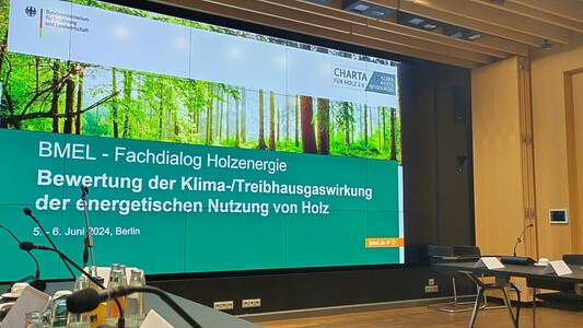 A large screen shows the title of the 2-day event. Beneath an image of a vibrant forest the text reads, in German: "BMEL - Expert Dialogue on Energy from Wood. Assessment of the climate and greenhouse gas effects of the use of wood for energy. June 5-6, 2024, Berlin".