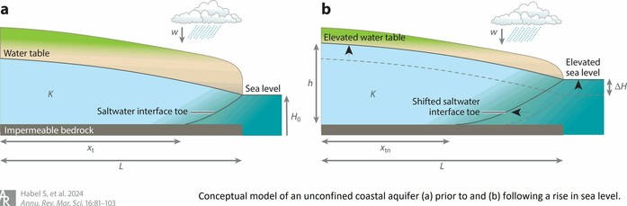 graphics - Conceptual model of an unconfined coastal aquifer (a) prior to and (b) following a rise in sea level.