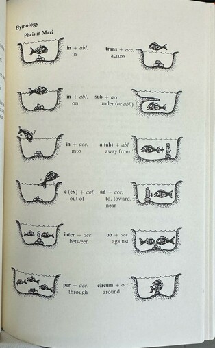 A guide to latin prepositions illustrated with fish cartoons