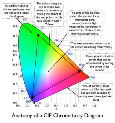Anatomy of a CIE Chromaticity Diagram: a roughly triangular region showing all the colors humans can see, bounded  by the 'spectral locus' on top and the 'purple line' on bottom.   From Jeff Yurek at

https://dot-color.com/2012/08/14/color-space-confusion/