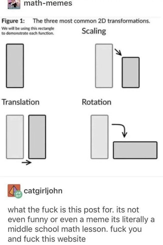 a tumblr post with an image showcasing 2D scaling, translation and rotation, it has four panels. it's fucking loss. it's the fucking loss meme.
someone replied to the post with "what the fuck is this post for. its not even funny or even a memd its literally a middle school math lesson. fuck you and fuck this website"