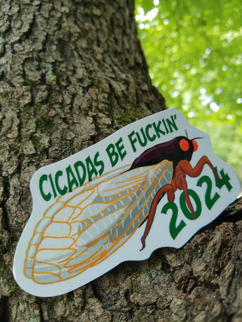 A sticker nestled into a tree. The sticker is an image of a seductive cicada with words reading Cicadas be fuckin. 2024