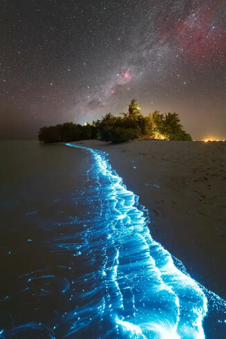 A night-time photograph of a shoreline in the Maldives, with the ripples of the water glowing with a bright blue bioluminescence at the shore. The water is to the left, and the sand is to the right. In the background, artificially lit plants are below a beautiful night sky that highlights the band of the Milky Way as well as numerous stars and nebulae.