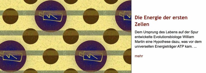 Zeichnung: Große schwarze Kugeln mit Batteriesymbolen neben kleineren und leeren schwarzen Kugeln. Rechts daneben Überschrift "Die Energie der ersten Zellen" des im Post verlinkten Artikels, gefolgt von dessen Vorspann.