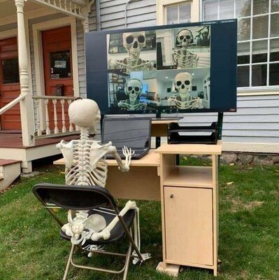 Skeletons  in a Zoom meeting.