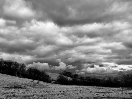 Textured sky -- light and dark clouds -- hang over a grassland valley. A small hill ascends to the left. Bare trees, dark against the lighter grasses, fill in the draws.