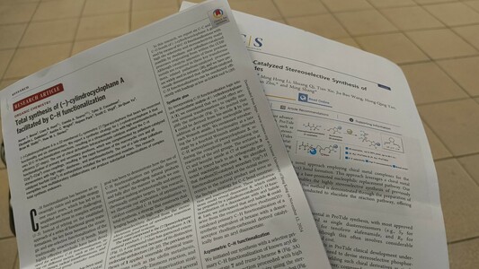 the two mentioned publications printed out